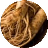 Ginseng Merah